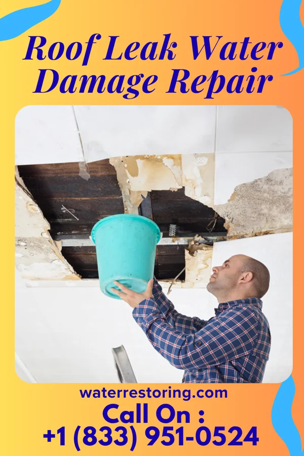 Roof Leak Water Damage Repair in Bitter Springs, AZ